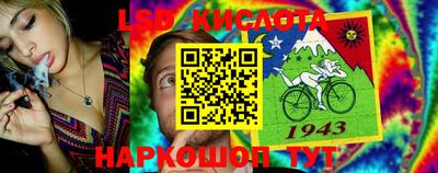 Альфа ПВП Будённовск