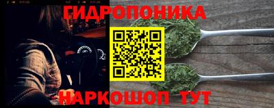 Альфа ПВП Будённовск