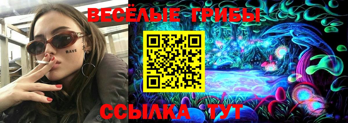 Псилоцибиновые грибы Psilocybe Фролово